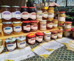 Impreza Wiosna na polu i w ogrodzie odbyła się w Siedlcach już po raz 18.