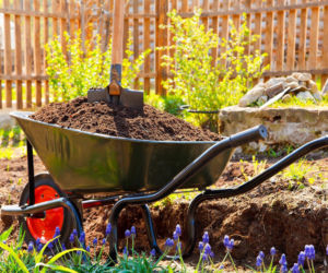Jak przygotować ziemię w ogrodzie przed sadzeniem roślin?