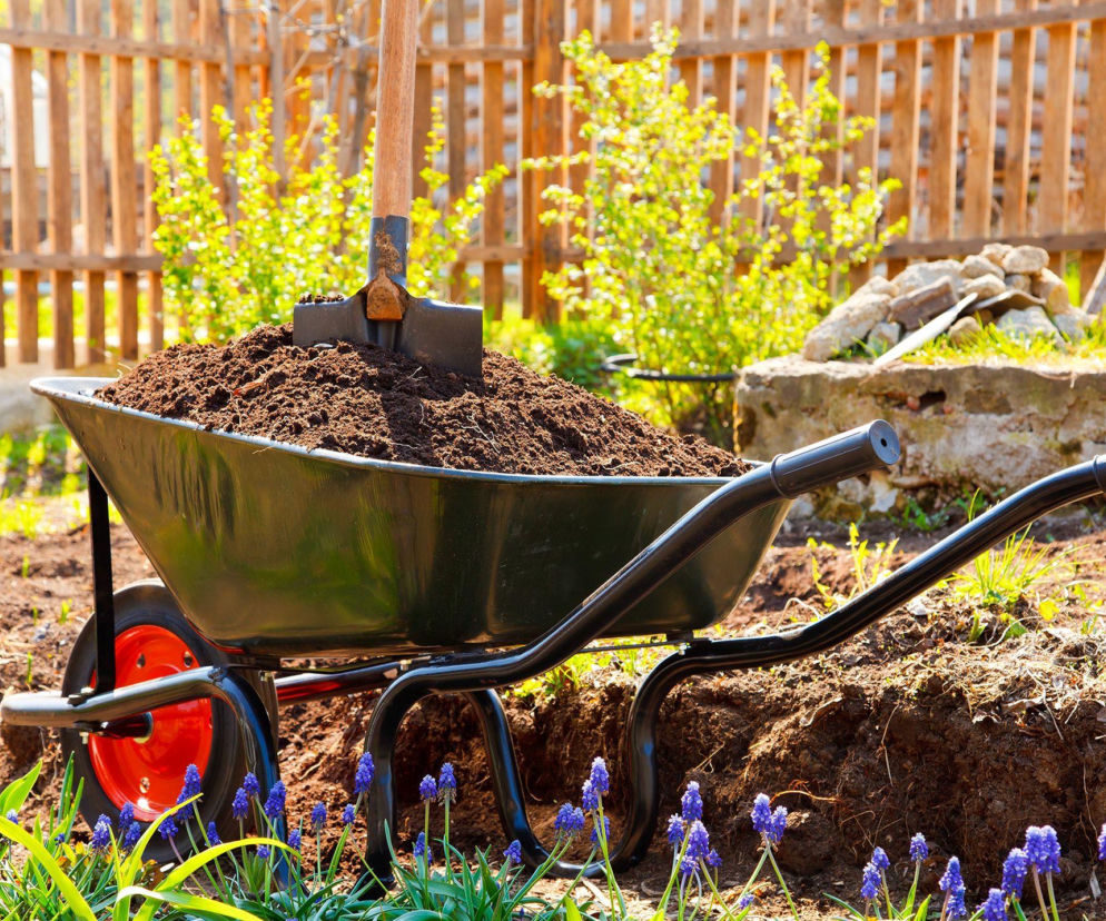 Jak przygotować ziemię w ogrodzie przed sadzeniem roślin?