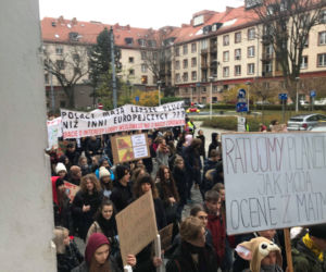 Manifestacja w obronie klimatu