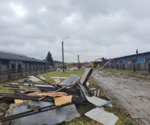 Drzewa na samochodach, zerwane dachy, brak prądu. Skutki wichury w Toruniu i okolicach