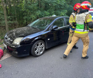 Kompletnie pijany wjechał w grupę pielgrzymów. „Katastrofa zagrażająca życiu wielu osób”