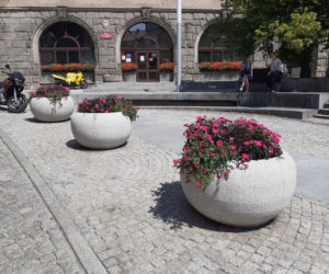 Olsztyn. Staromiejskie donice wypełniły się kolorowymi kwiatami [ZDJĘCIA]