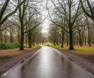 Zaginął doktor Politechniki Warszawskiej. Czy cud jeszcze się wydarzy?