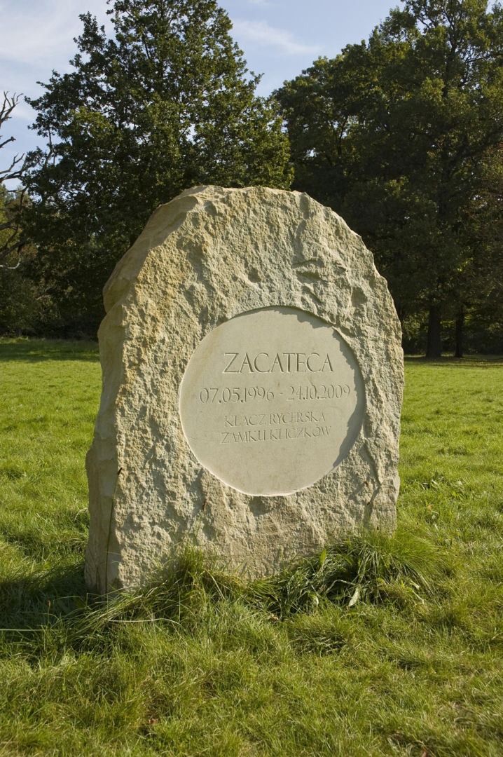 Zamek Kliczków