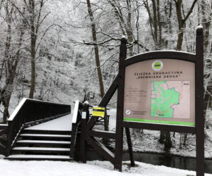 Ojcowski Park Narodowy