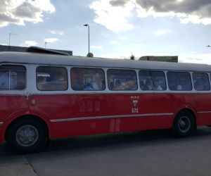 Linia autobusowa nr 100