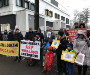 Solidarni z dzikami