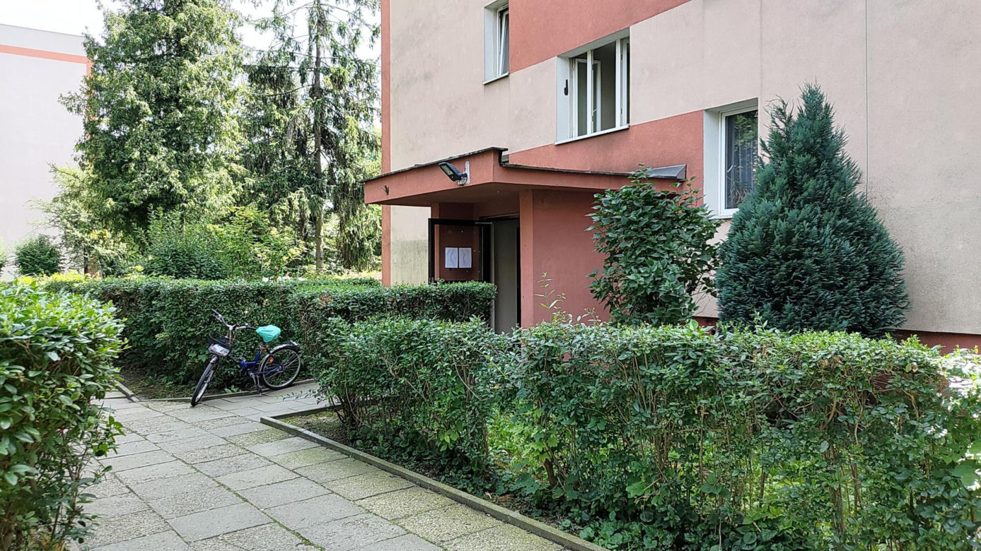 Zamordował rodziców bo kazali mi sprzątać