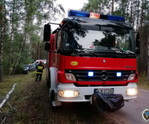 Zbójna. Opel uderzył w drzewo. Kierująca straciła panowanie nad autem [ZDJĘCIA]