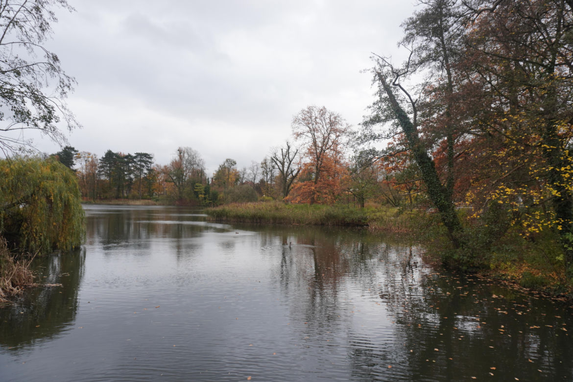 Park Sołacki w Poznaniu jesienią