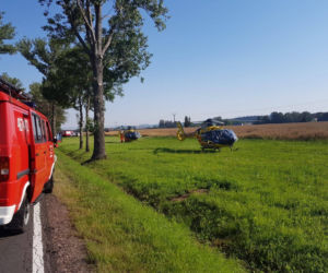 Śmiertelny wypadek na DK 33 w miejscowości Wilkanów