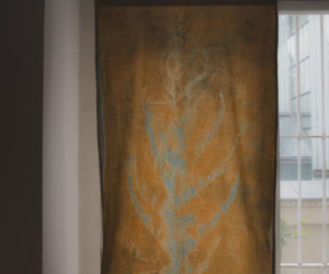 Art Warsaw Villa Róż