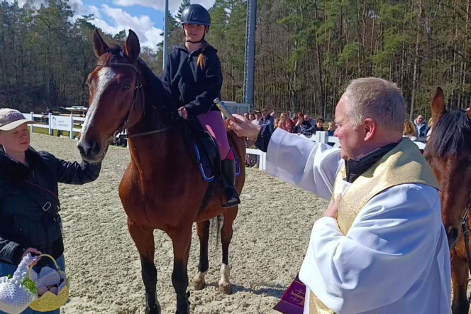 Konna święconka w Szczecinie