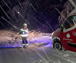 Atak zimy na Podkarpaciu: Tysiące domów bez prądu! Strażacy interweniowali setki razy, śnieg paraliżuje region