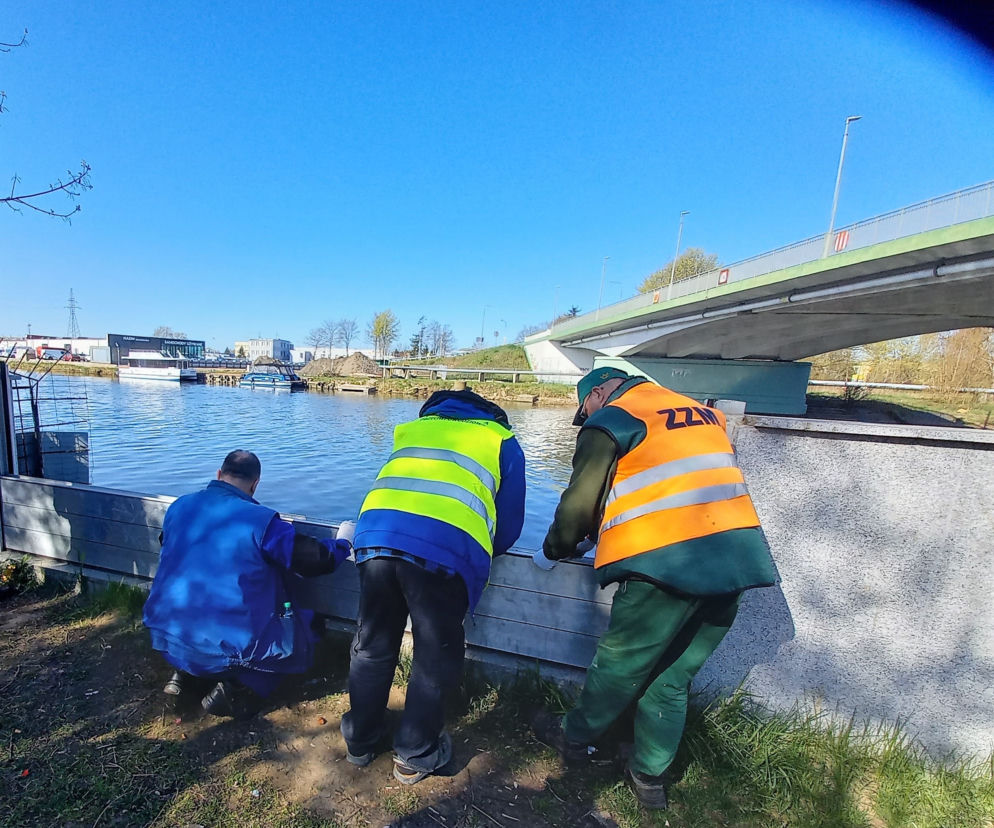 Ćwiczenia szłużb obrony cywilnej nad rzeką Elbląg