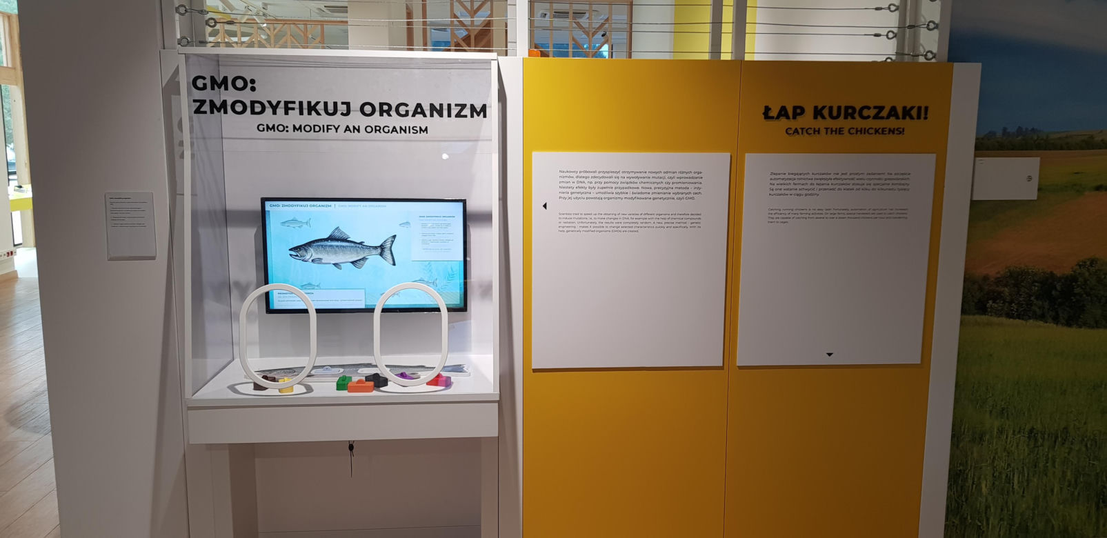 Otwarcie Centrum Nauki Kortosfera w Olsztynie. Bilety już dostępne! Ile kosztują?