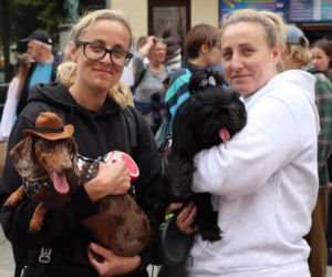 Zlot jamników w Toruniu. Mamy zdjęcia psiaków, właścicieli i fanów czworonogów