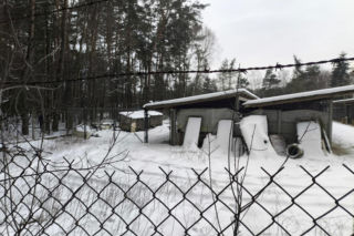 Ujadanie słychać z kilometrów. Odwiedziliśmy schronisko w Sobolewie. Tak nie brzmią szczęśliwe pieski
