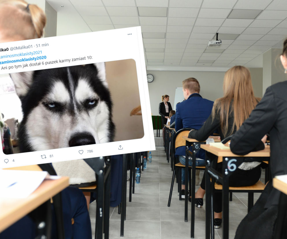 Egzamin Ósmoklasisty 2021: MATEMATYKA. Zadanie o karmie dla psa ROZBAWIŁO uczniów