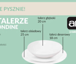 promocje z gazetki Biedronka