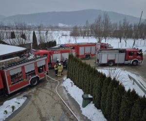 Pożar na kąpielisku 'Chorwacja' w Jurkowie. Akcja straży