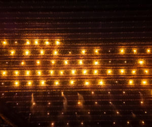 Przymrozki w winnicy - podgrzewanie winorośli