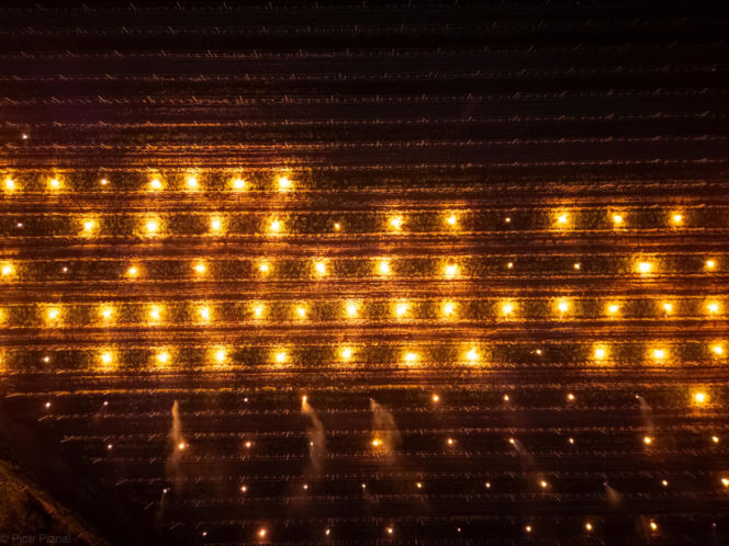 Przymrozki w winnicy - podgrzewanie winorośli