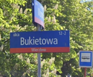 Oto najbardziej wiosenne ulice w stolicy! Tu wiosna trwa cały rok!