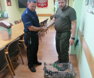 Policjanci uratowali Orła
