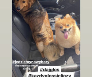Antek Królikowski wybrał dojrzałą