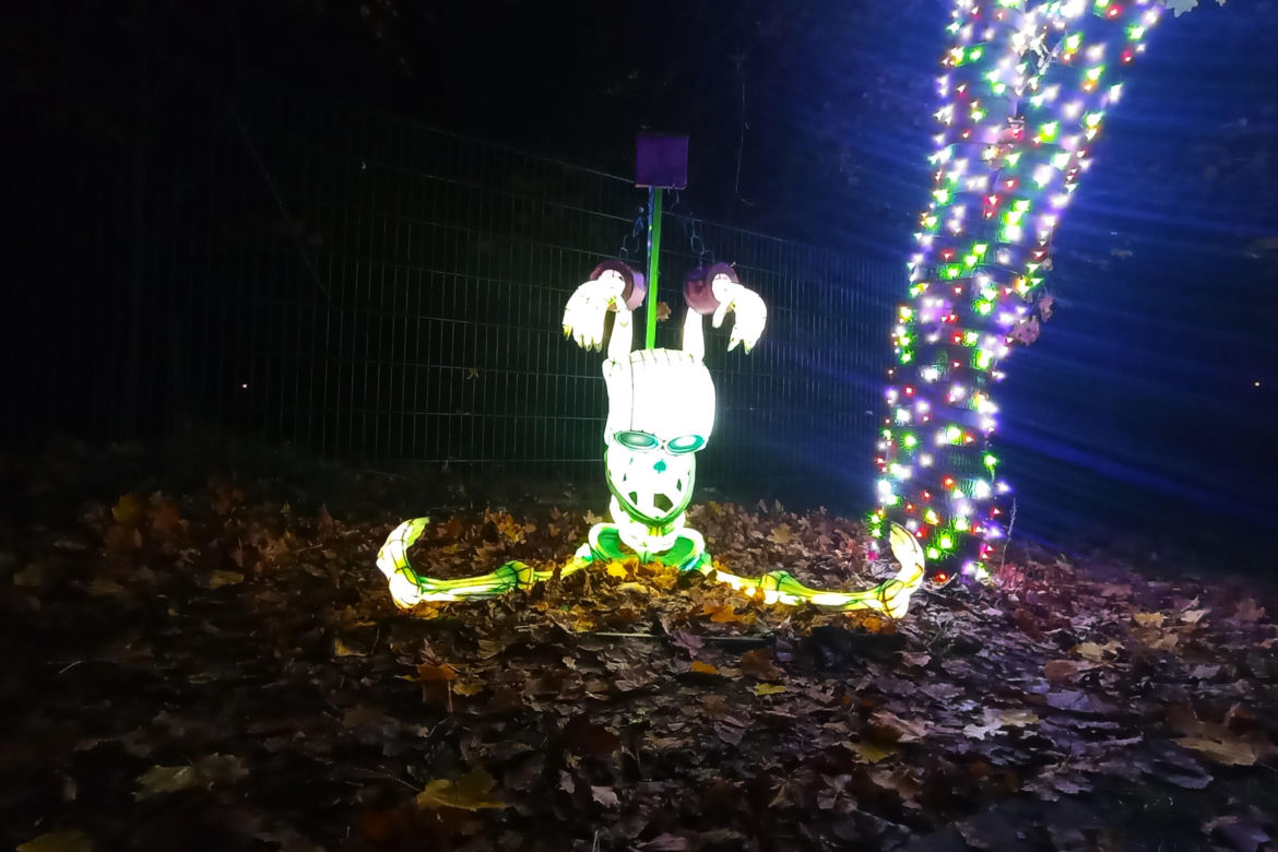 Garden of Lights w Szczecinie