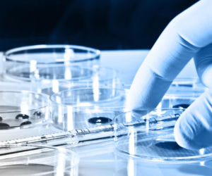 Bierzesz ją na zdrowe włosy, ale może wspierać rozwój raka. Nowe ustalenia o witaminie B7