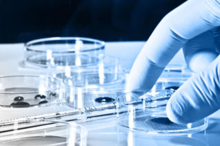 Bierzesz ją na zdrowe włosy, ale może wspierać rozwój raka. Nowe ustalenia o witaminie B7