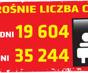 Koronawirus 24.04.2020 r, godz. 10. Zobacz aktualne wykresy i dane!