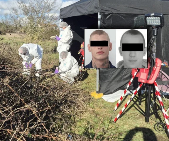 Zabity, spakowany do walizki i zakopany w polu. Polak ofiarą makabrycznej zbrodni pod Londynem