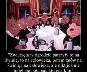 Afera taśmowa memy