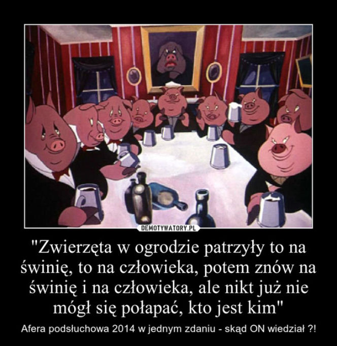 Afera taśmowa memy