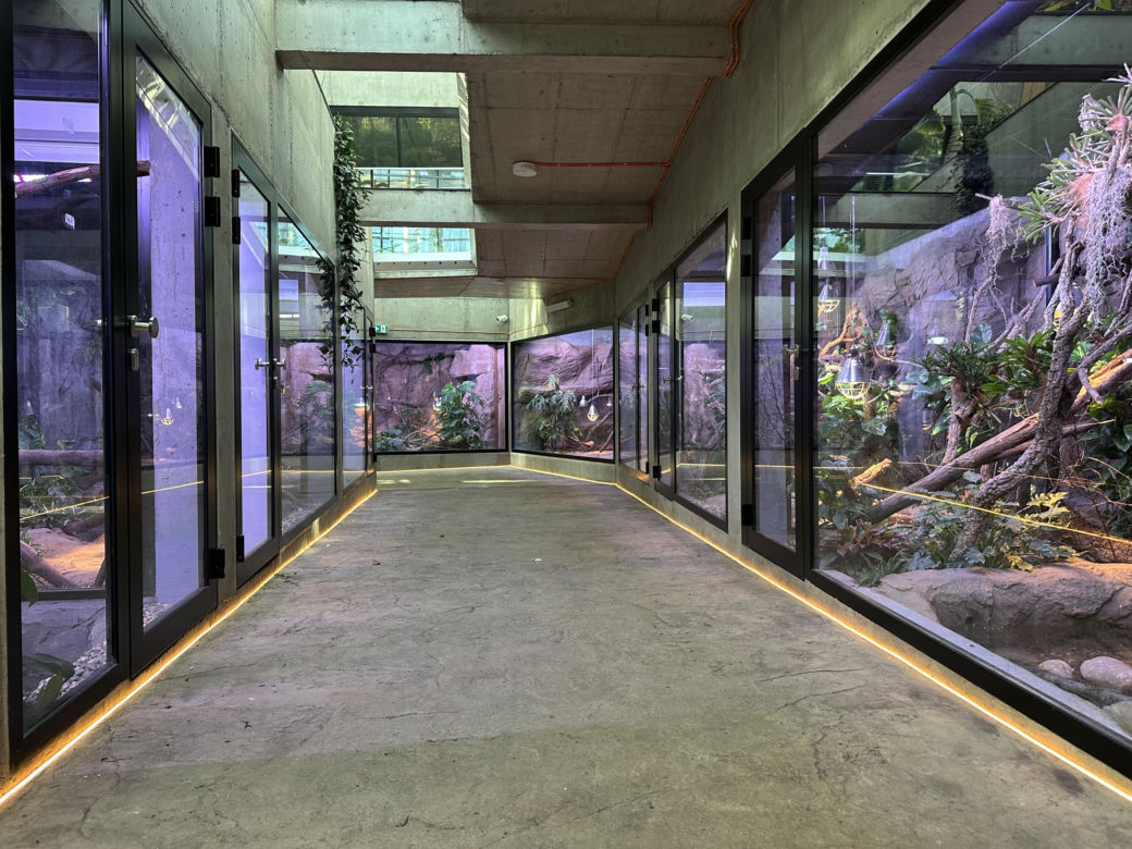 Nowe Egzotarium w Sosnowcu