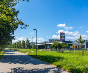 Okolice ul. Pałacowej w Warszawie