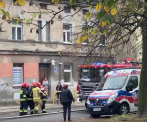 Mama spłonęła z ukochanymi córeczkami