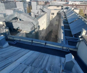 Zielona transformacja szpitala we Wrocławiu