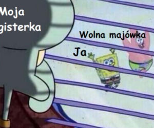Majwówka 2020 memy
