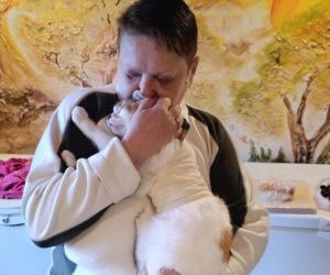 Watahy zdziczałych psów atakują wieś! Rozrywają koty, rzuciły się na dziecko!