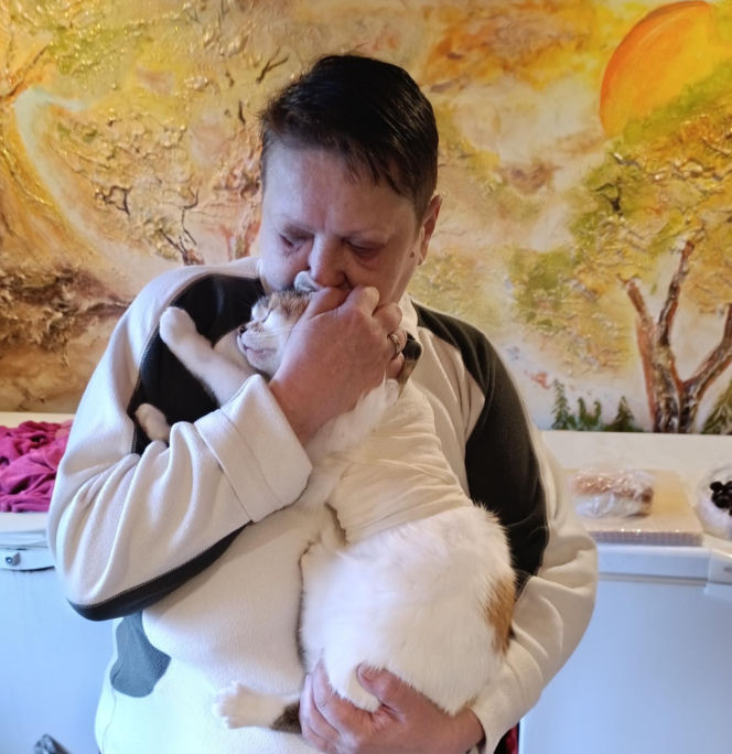 Watahy zdziczałych psów atakują wieś! "Rozrywają koty, rzuciły się na dziecko!