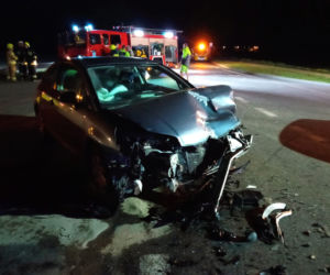 Wielkopolskie: Pięć osób rannych w nocnym wypadku na DK 11 