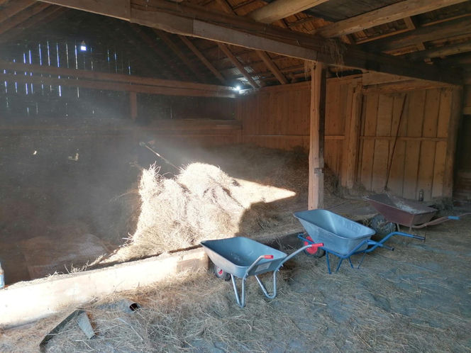 Remont chyży łemkowskiej w Hańczowej