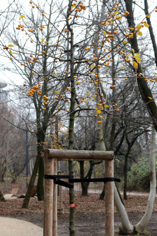 Park na Mordorze gotowy, latarnie nie zaświecą. „Włączymy co 3-4”