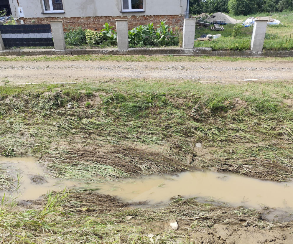 Błotnisty rów z wodą przy drodze i ogrodzeniu posesji. O prognozie pogody na kolejne dni przeczytasz na SE Pogoda.
