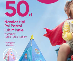 Promocje w Pepco 25 maja